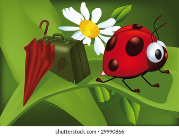 ladybird goes to holiday
