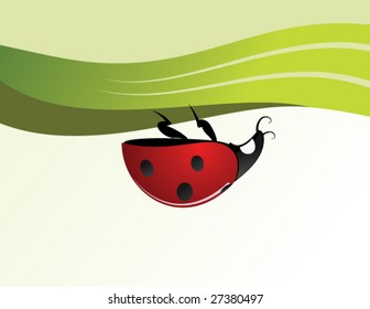 Ladybird in the grass