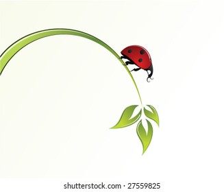 Ladybird in the grass