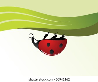 Ladybird in the grass