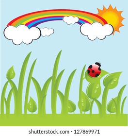 Ladybird in the grass with blue sky and rainbow