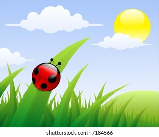 Ladybird in the grass (vector)