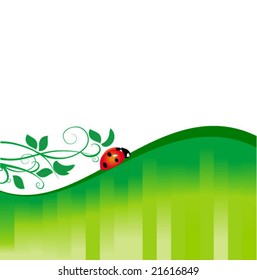 ladybird green backdrop