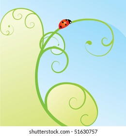 ladybird green curves