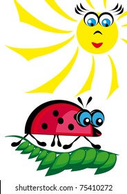 The ladybird is heated on the sun. Illustartion