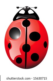 Ladybird icon