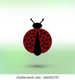 ladybird icon