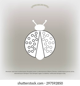 ladybird icon