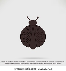 ladybird icon