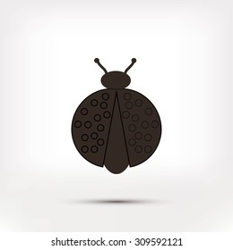 ladybird icon