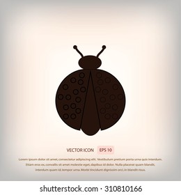 ladybird icon