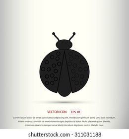 ladybird icon