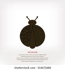 ladybird icon