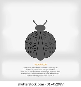 ladybird icon