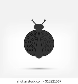 ladybird icon