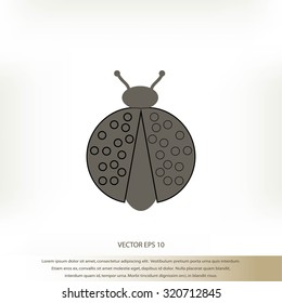 ladybird icon