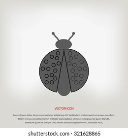 ladybird icon