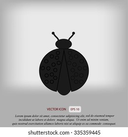ladybird icon