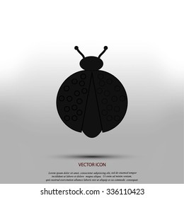 ladybird icon