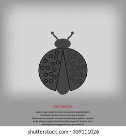 ladybird icon