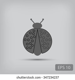 ladybird icon