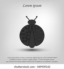 ladybird icon