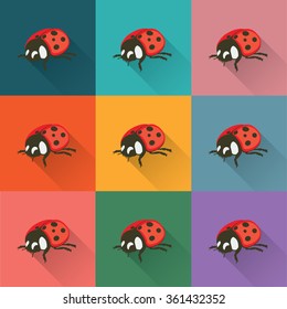 ladybird icon