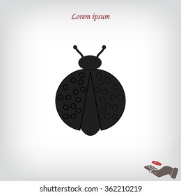 ladybird icon
