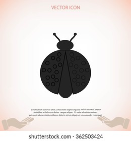 ladybird icon