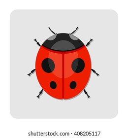 ladybird  icon