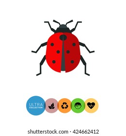 Ladybird Icon.