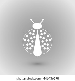 ladybird icon