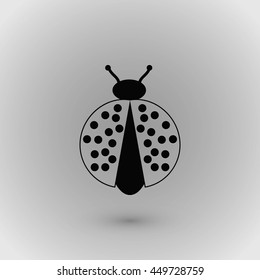 ladybird icon