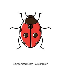 Ladybird icon flat design top view. Vector ladybug illustration line art style. linear colorful pictogram isolated on white. Symbol, logo illustration.