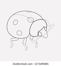 2,557 Ladybird outline Images, Stock Photos & Vectors | Shutterstock