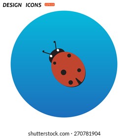 Ladybird. icon. vector design