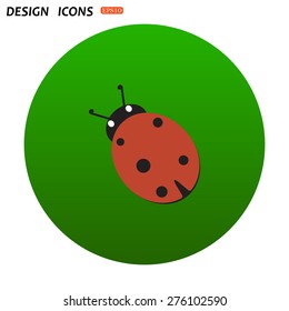 Ladybird. icon. vector design