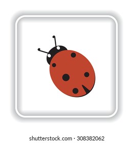 Ladybird. icon. vector design
