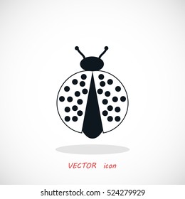 ladybird icon vector, flat design best vector icon