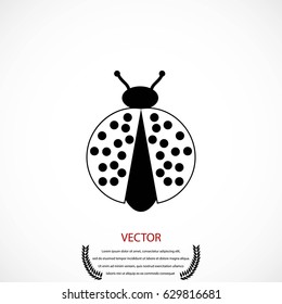 ladybird icon vector, flat design best vector icon