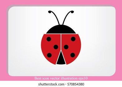 ladybird icon vector illustration.