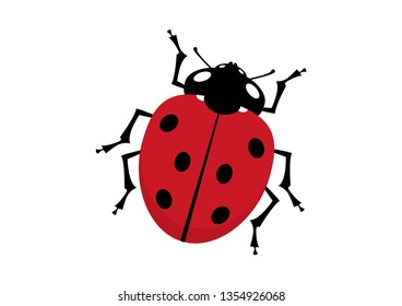 Ladybird icon vector isolated on a white background. Ladybug vector illustration