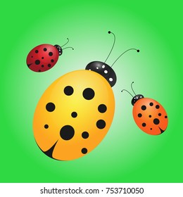 Ladybird illustration. Set of three Ladybird. Can be used in different ways of design, appearance, cover, etc.