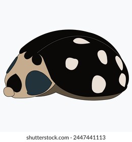 Ladybird, Ladybird illustration. Set of three ladybirds isolated on white. Can be used in different ways of design, appearance, cover, etc. Vector - stock