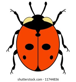 ladybird illustration [vector]