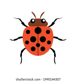 ilustración de ladybird en formato vector