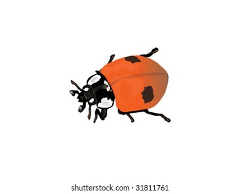 Ladybird, illustration,vector