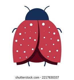 icono de insectos de ladybird aislado