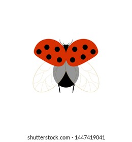 Ladybird isolated. Illustration ladybug. Cute colorful sign red insect symbol spring, summer, garden. Template for t shirt, apparel, card, poster, etc. Design element Vector illustration.