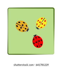 Ladybird isolated. Illustration ladybug in green frame. Cute colorful sign color insect symbol spring, summer, garden. Template for t shirt, apparel, card, poster. Design element Vector illustration